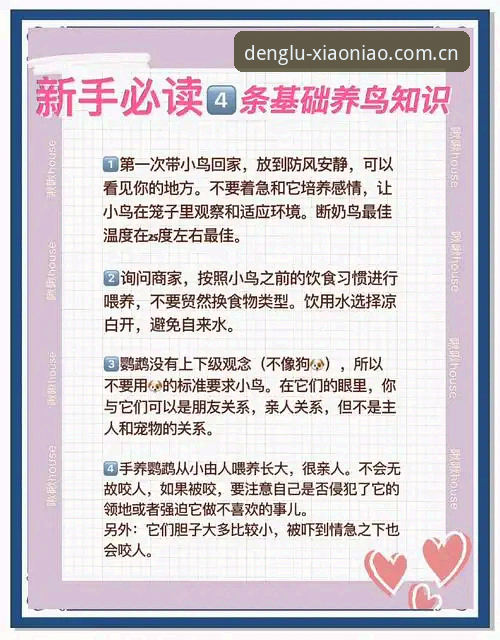 揭秘：小鸟体育平台靠谱吗？新手必备的5大核心真相